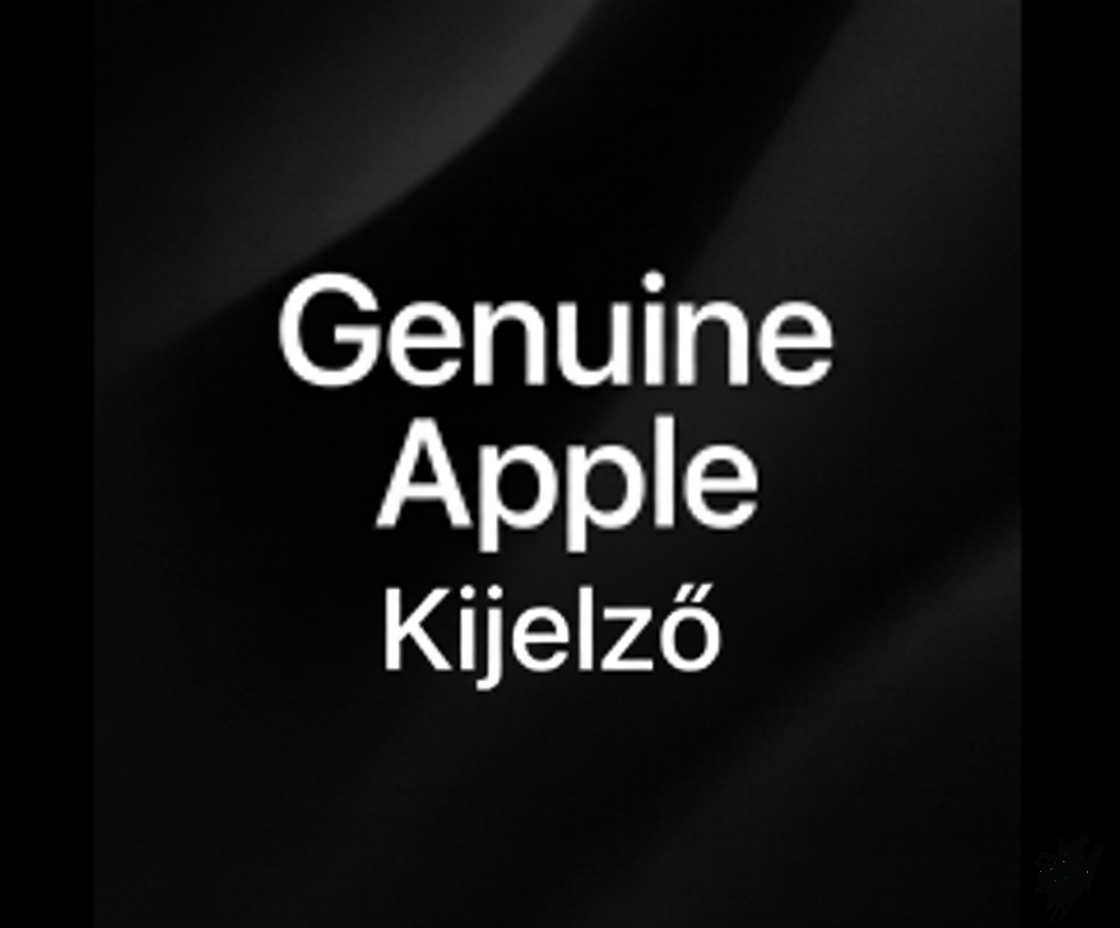 iPad gyári kijelző Image