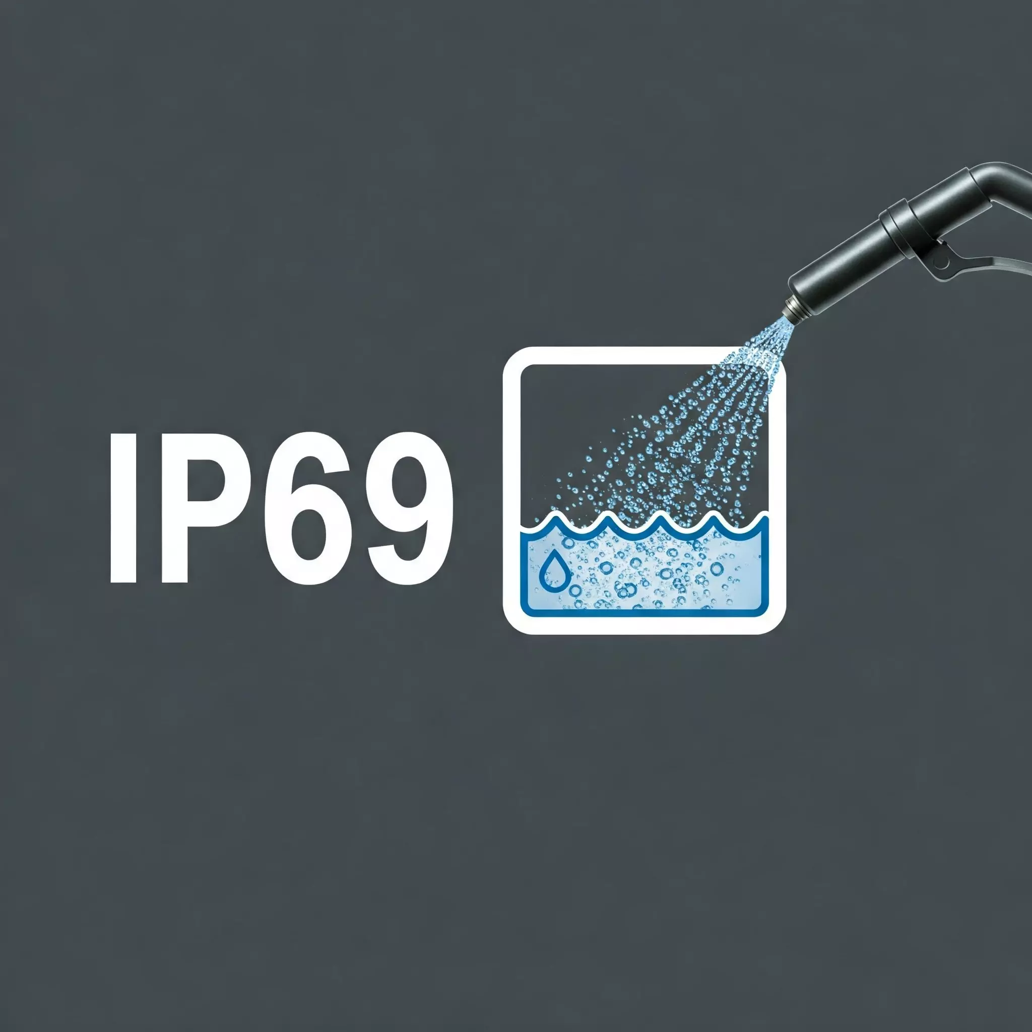 ip69